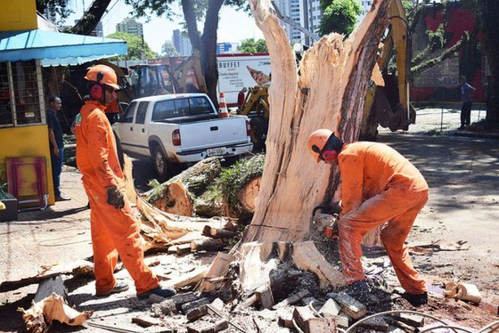 Paraná: TEMPESTADE ATINGE PR DURANTE A MADRUGADA, E VENTOS FORTES CAUSAM ESTRAGOS EM CURITIBA