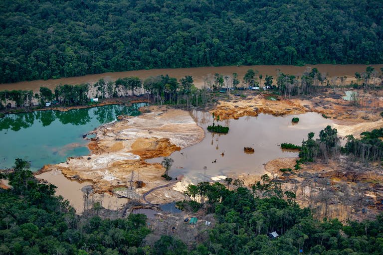 Polícia: GOVERNO AUTORIZA USO DA FORÇA NACIONAL NA TERRA YANOMAMI