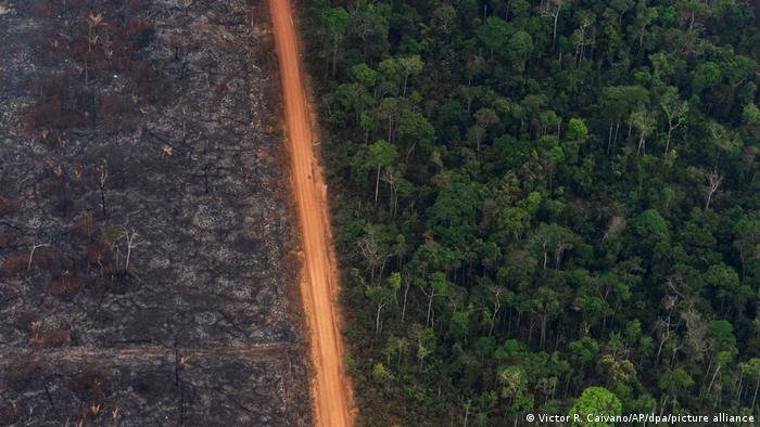 Meio Ambiente: DESMATAMENTO SALTOU 14% EM 2020 EM TODO O BRASIL