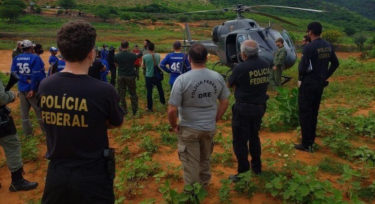 Narcotráfico: PF DESTRÓI 875 MIL PÉS DE MACONHA ATÉ ABRIL