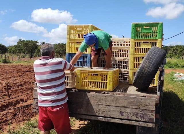 “Lei da Semeadura”: ‘VOLTAR À LEI DA MATA ATLÂNTICA NO PR PODE INVIABILIZAR PEQUENAS PROPRIEDADES’