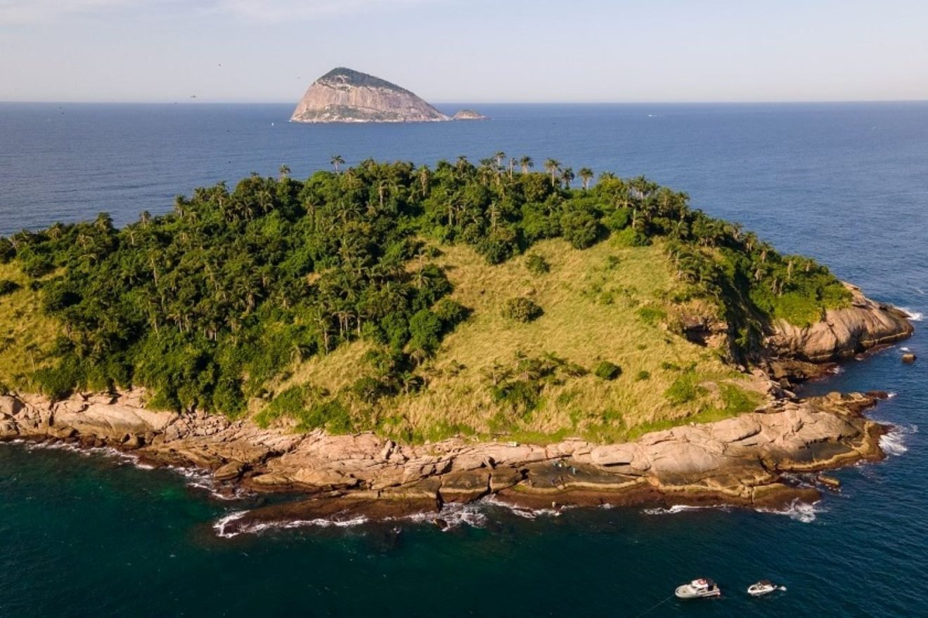 Ecologia: AVANÇA INICIATIVA PIONEIRA PARA RECUPERAR VEGETAÇÃO NATIVA EM ILHA CARIOCA