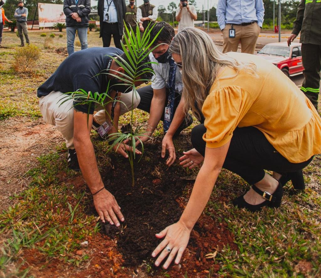 Puerto Iguazú: SEMBRARON MÁS DE UN CENTENAR DE ESPECIES AUTÓCTONAS EN EL AEROPUERTO