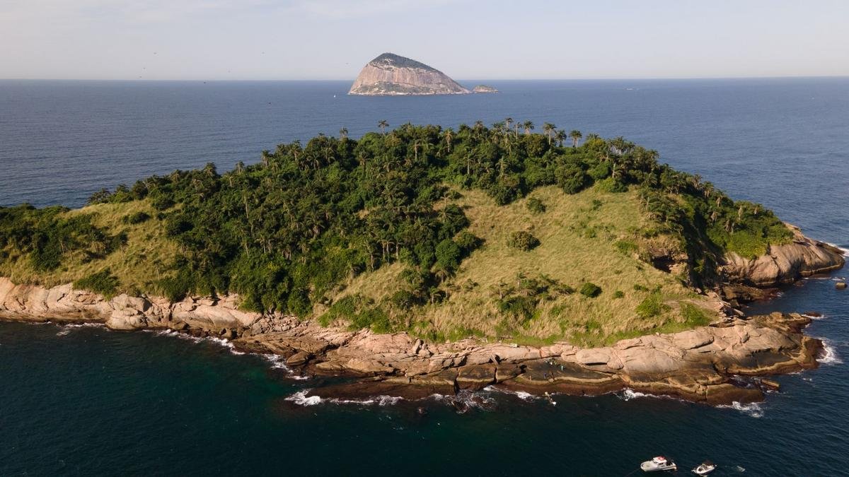 Meio Ambiente: PROJETO ILHAS DO RIO TERMINA ÚLTIMA ETAPA DE RESTAURAÇÃO ECOLÓGICA DAS CAGARRAS