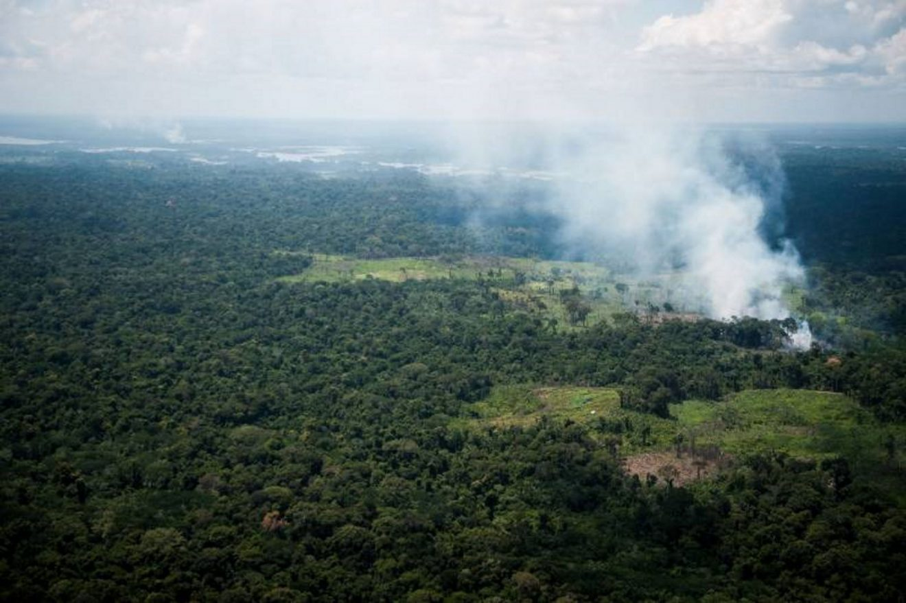 Ecologia: INPE REGISTRA PELA QUARTA VEZ CONSECUTIVA RECORDE DE DESMATAMENTO NA AMAZÔNIA