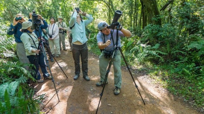 Parque Nacional do Iguaçu: ABERTO EDITAL PARA CREDENCIAMENTO DE CONDUTORES DE OBSERVADORES DE AVES