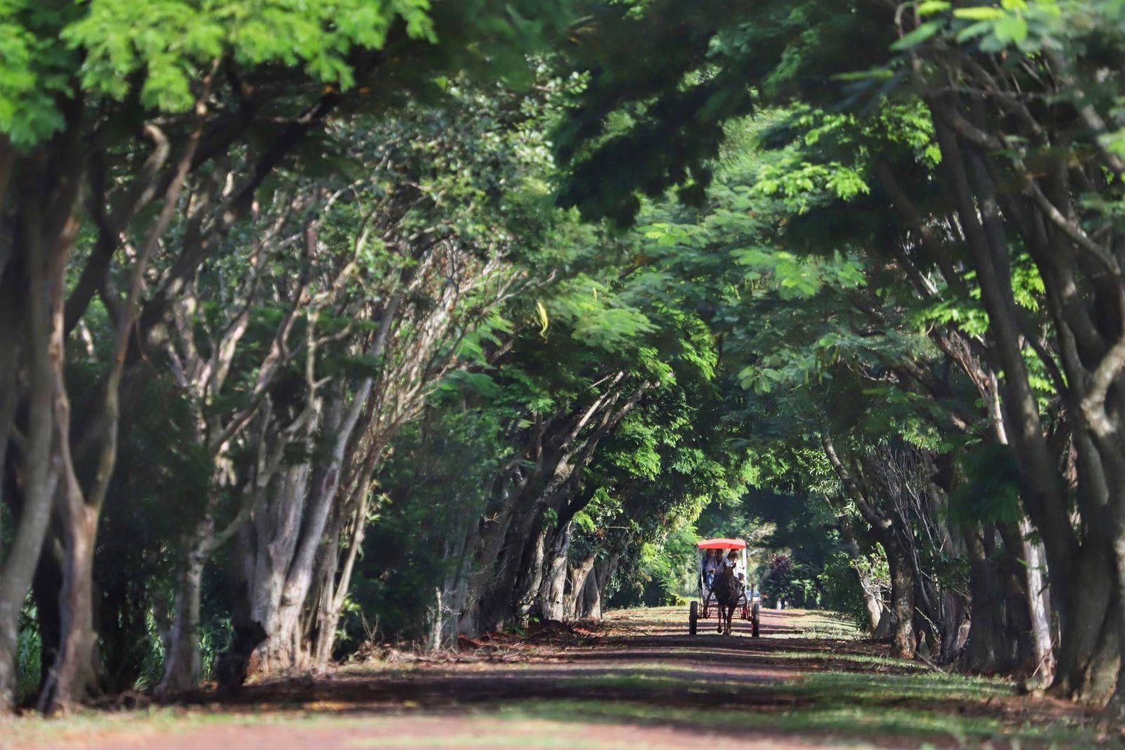 Paraná: ESTADO É SELECIONADO PARA PROGRAMA DA UNIÃO EUROPEIA PARA O DESENVOLVIMENTO SUSTENTÁVEL