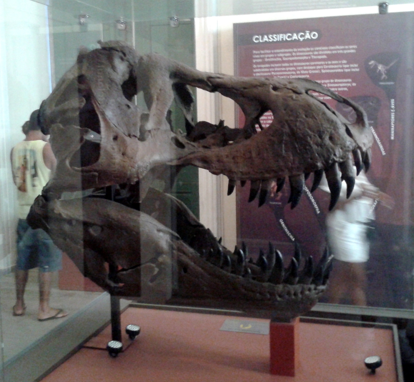 Dinossauro gigante com 'dentes de tubarão' é descoberto no Uzbequistão