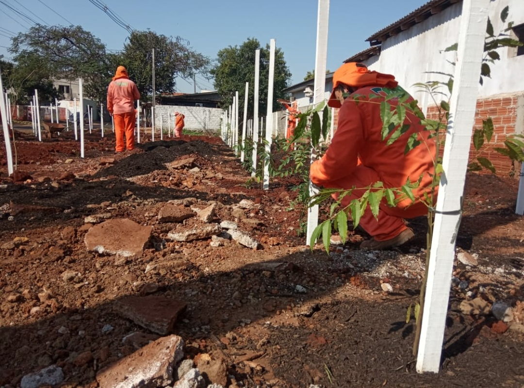 Foz do Iguaçu: SECRETARIA DE MEIO AMBIENTE DE FOZ DO IGUAÇU AVANÇA NA CRIAÇÃO DE POLÍTICAS AMBIENTAIS