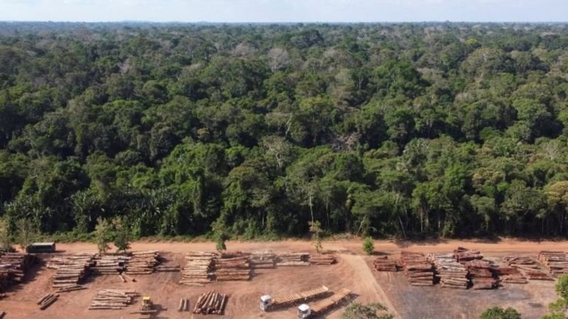 Compromisso: NA COP26, BRASIL ASSINARÁ NOVO ACORDO DE PROTEÇÃO DE FLORESTAS