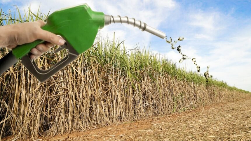Biocombustível: GOVERNO E INDÚSTRIA DA CANA-DE-AÇÚCAR QUEREM EXALTAR O ETANOL COMO ALTERNATIVA AOS CARROS ELÉTRICOS
