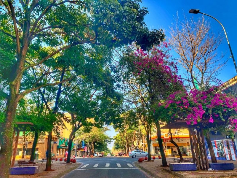 Foz do Iguaçu: NÚCLEO DA AVENIDA BRASIL APRESENTA AO PTI-BR PROPOSTA PARA TRANSFORMAR CENTRO COMERCIAL DA CIDADE