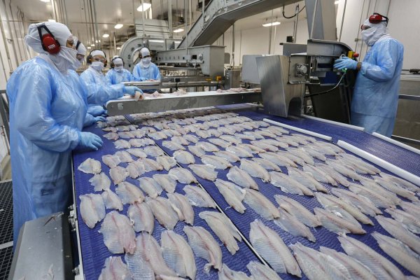 Parceria: ITAIPU E COPACOL DISTRIBUIRÃO PEIXES PARA 40 MIL ALUNOS DE ESCOLAS PÚBLICAS