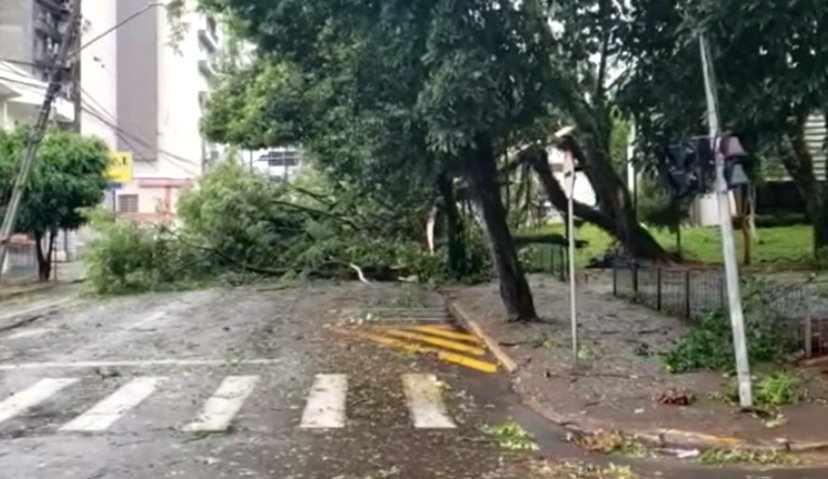 Clima: TEMPORAL ATINGE CIDADES DO OESTE E SUDOESTE; VENTOS PASSAM DE 90 KM/H