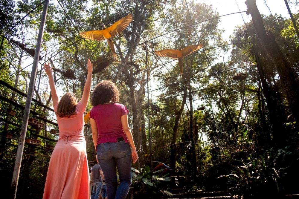 Parque das Aves: HORÁRIO DE ATENDIMENTO AMPLIADO A PARTIR DE HOJE (27)