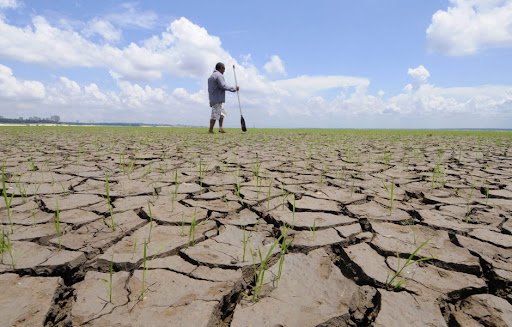 Ecologia: SECAS RECORRENTES AFETAM A CAPACIDADE DE RECUPERAÇÃO DA FLORESTA AMAZÔNICA, ALERTA ESTUDO