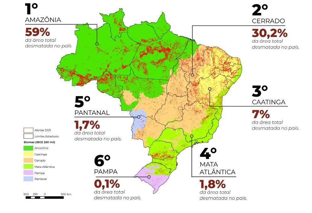 Ecologia: DESMATAMENTO AUMENTA 20% EM TODOS OS BIOMAS – IGUASSU News