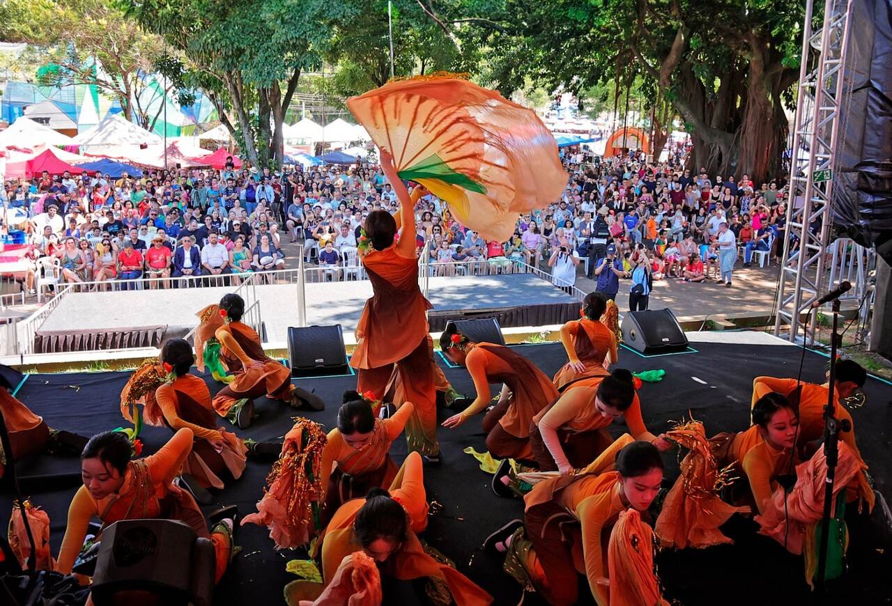 Praça da Paz: APRESENTAÇÕES ARTÍSTICAS MARCAM O ANO NOVO CHINÊS