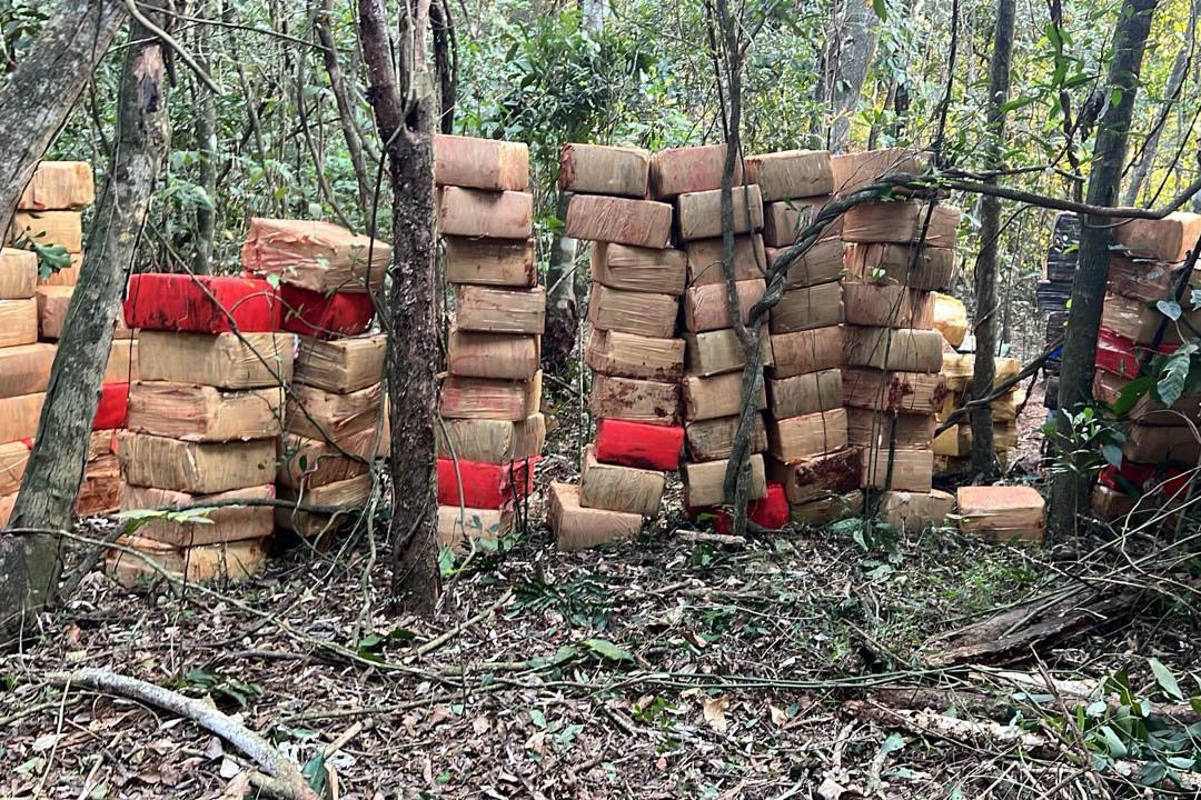 Paraná: PMPR APREENDE 6 TONELADAS DE MACONHA EM ÁREA RURAL