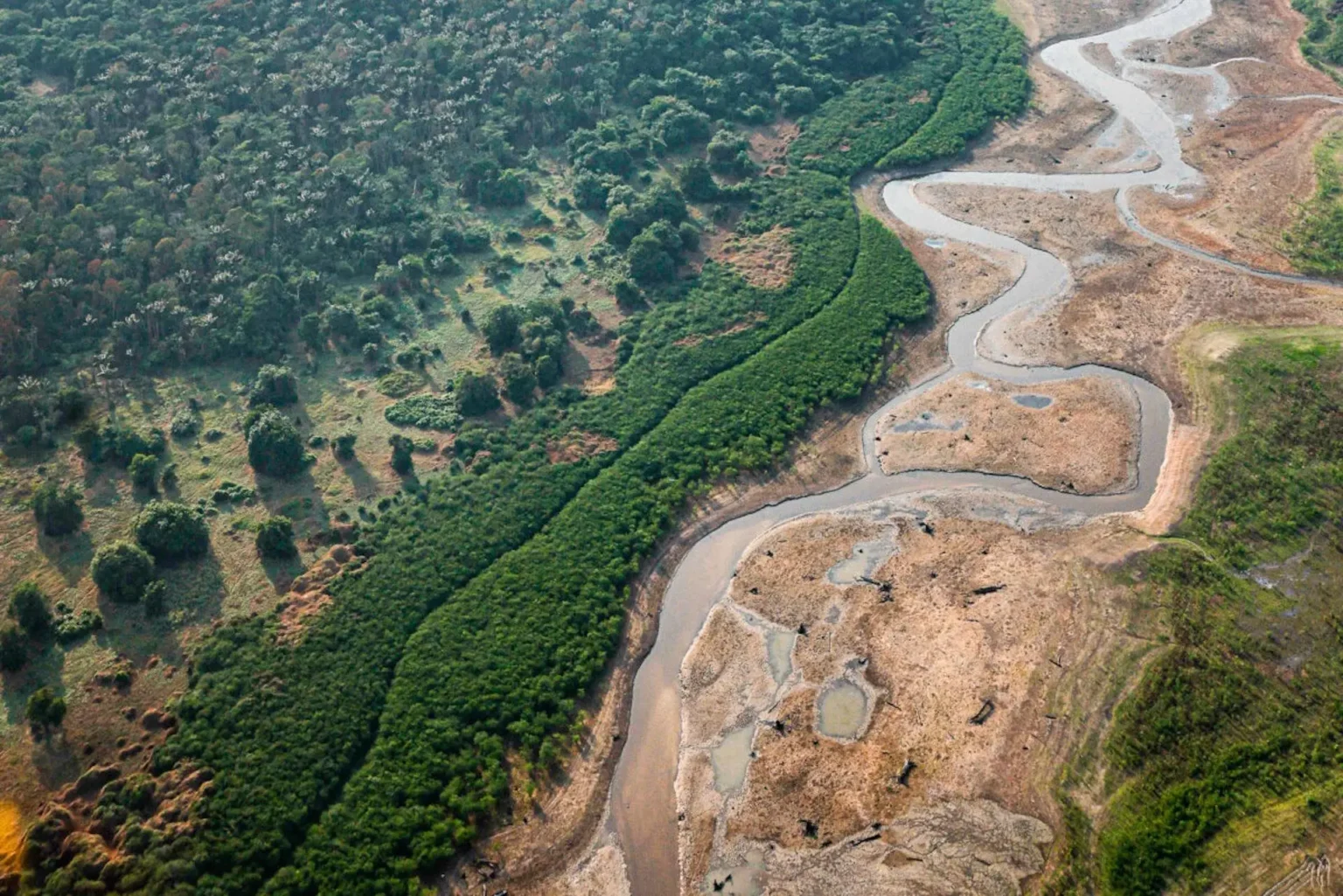 Entenda: COMO DEVEM AGIR PREFEITOS E VEREADORES PARA PROTEÇÃO DO MEIO AMBIENTE