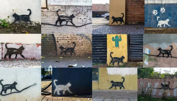 Desvendada: HISTÓRIA DOS GATOS DESENHADOS NOS MUROS DE FOZ DO IGUAÇU