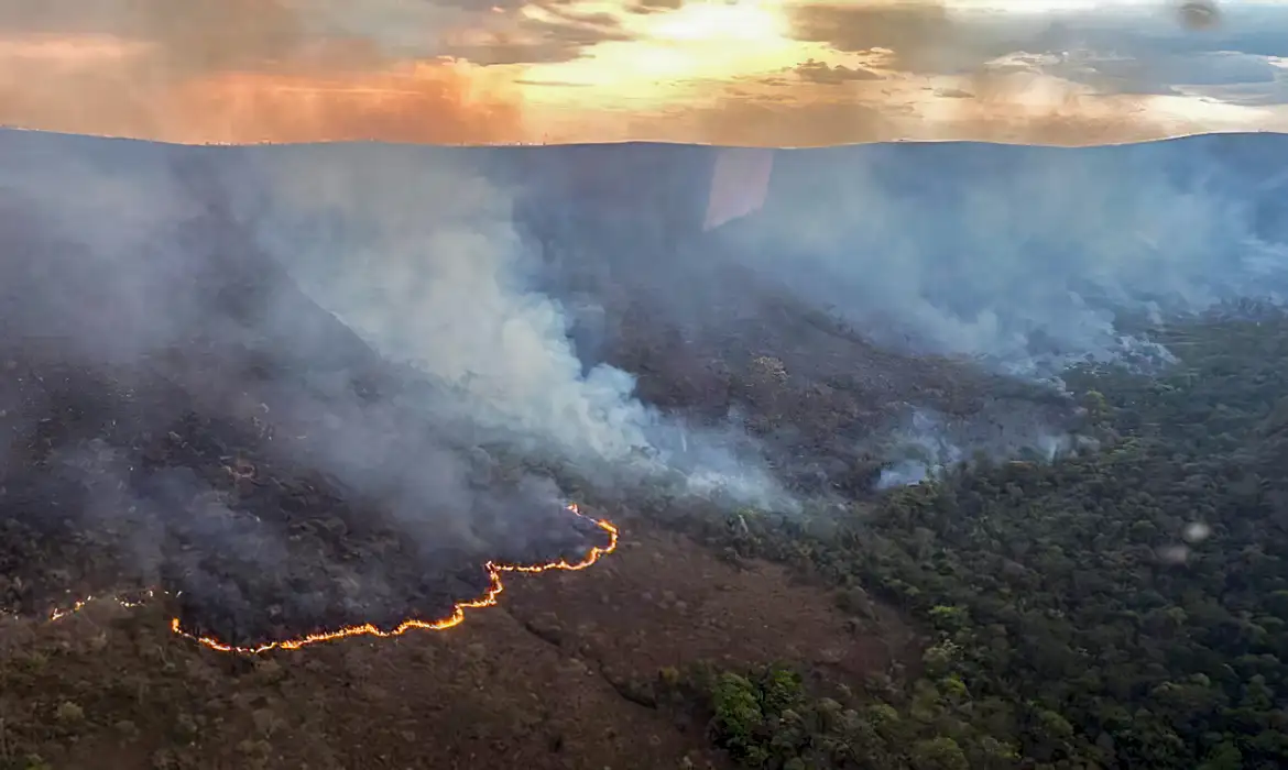 Meio Ambiente: INCÊNDIO QUEIMA 10 MIL HECTARES DO PARQUE DA CHAPADA DOS VEADEIROS