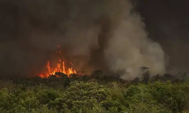 Entenda: PANTANAL TEM 2024 COM QUEIMADAS CRESCENDO MAIS DE 2.300%