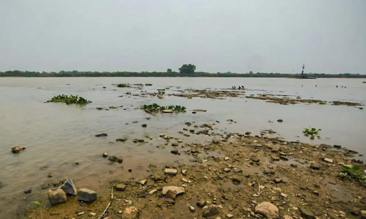 Veja: RIO PARAGUAI REGISTRA MÍNIMA HISTÓRICA EM ANO MAIS SECO NO PANTANAL